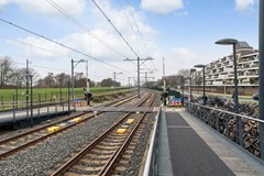 Asserdreef 11_29.jpg